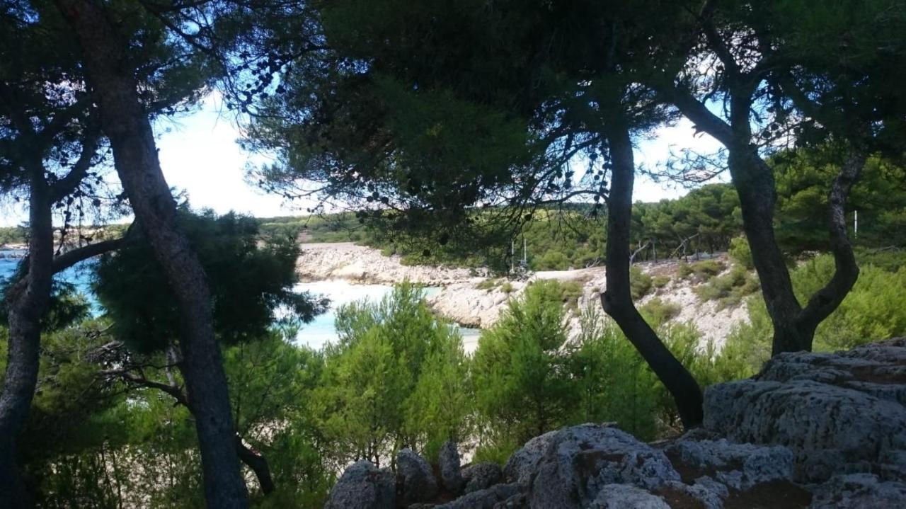Appartement Vue Mer Le Chant Des Cigales Sausset-les-Pins Bagian luar foto